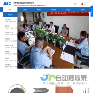 陕西电子信息国际商务有限公司